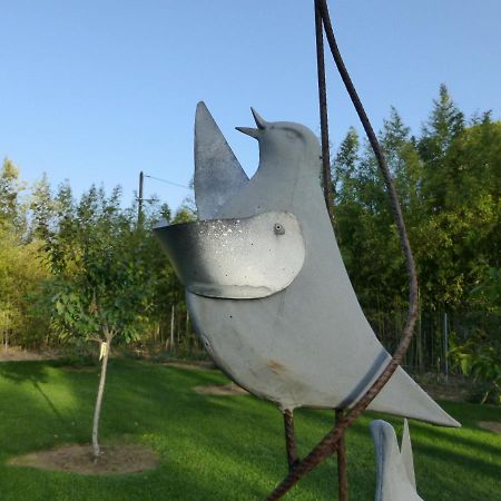 Clermont-lʼHéraultLa Genestiere住宿加早餐旅馆 外观 照片