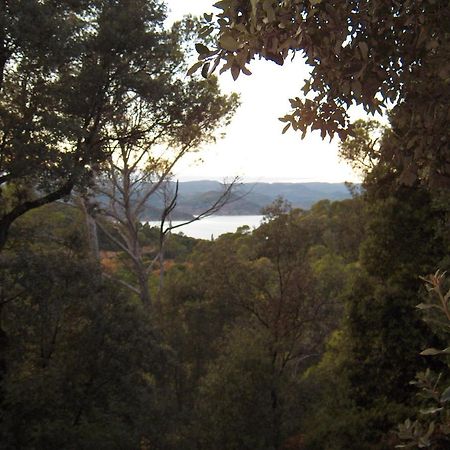 Clermont-lʼHéraultLa Genestiere住宿加早餐旅馆 外观 照片