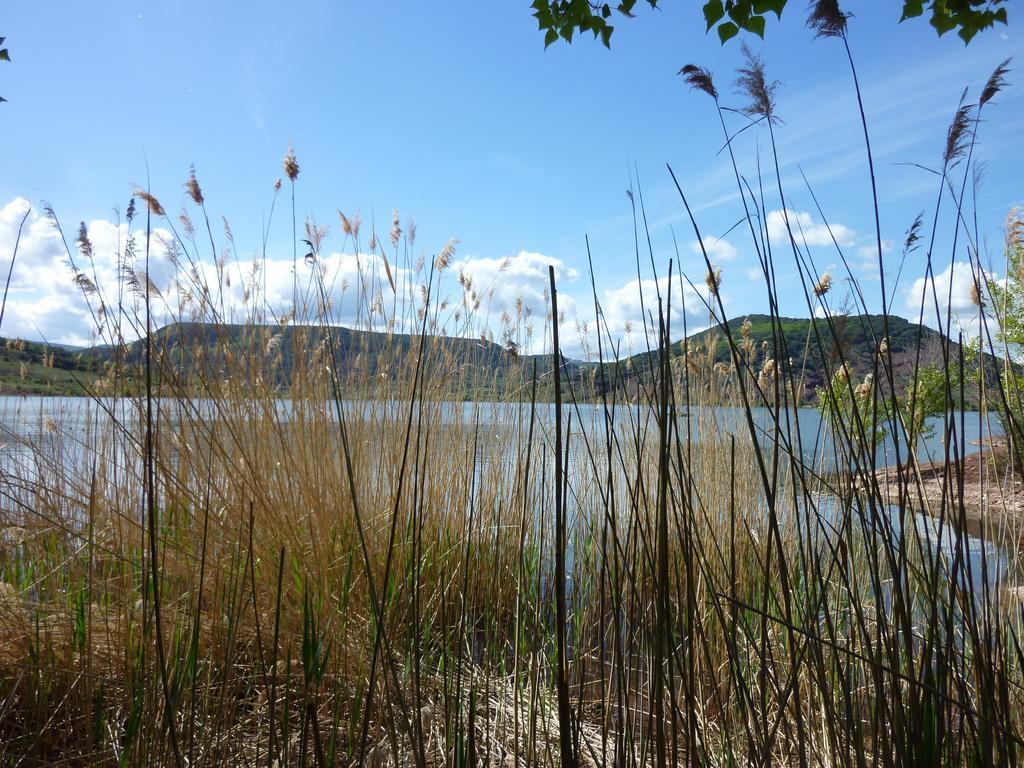 Clermont-lʼHéraultLa Genestiere住宿加早餐旅馆 外观 照片
